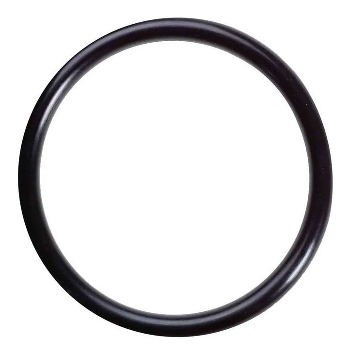 O-Ring para Portafiltro Big Blue